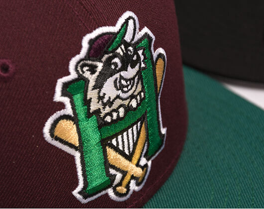 Kappe New Era - MiLB Theme Nights 59FIFTY - Hudson Valley Renegades - Team Color
