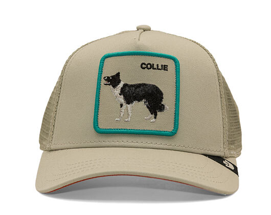 Kappe Goorin - Shadow Border Collie - Scout