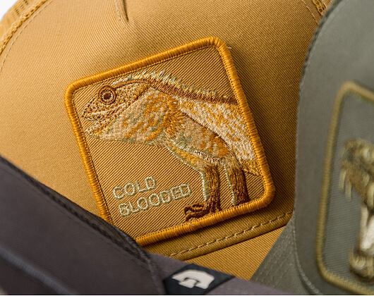 Kappe Goorin - Circle Of Life - Cold Blooded - Lizard - Amber
