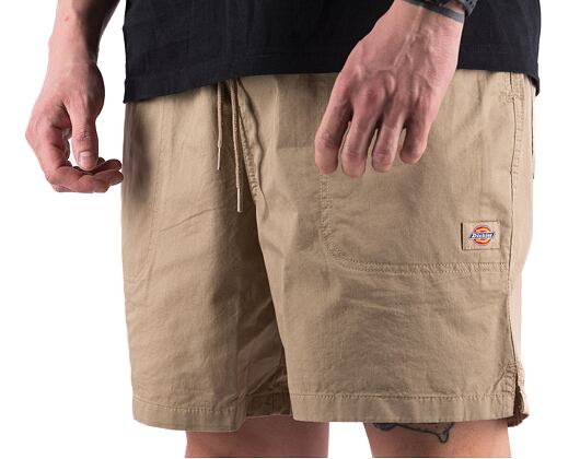 Shorts Dickies PELICAN RAPIDS DK0A4XB2DS01