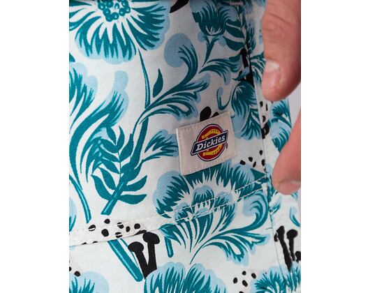 Shorts Dickies Roseburg DK0A4YBPF351 Blau