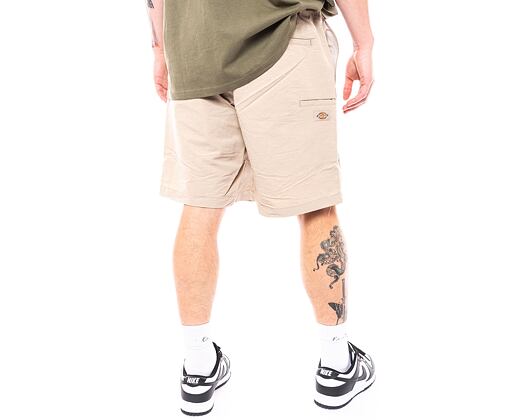 Shorts Dickies Fincastle Short DK0A4YSLSS01