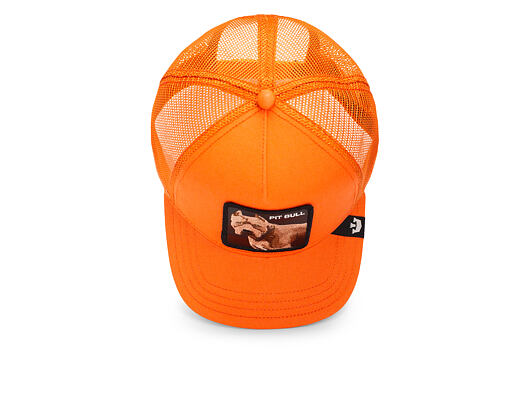 Kappe Goorin - The Dog Pitbull - Orange