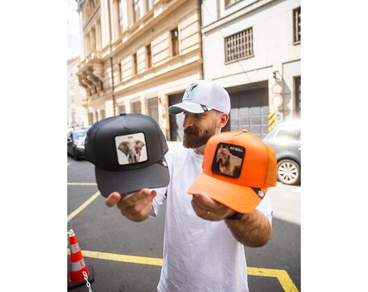 Kappe Goorin - Trucker - The Big Elephant - Grey