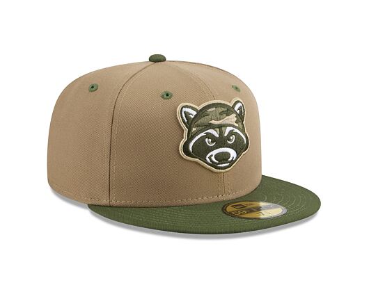Kappe New Era - MiLB Theme Nights 59FIFTY - Hudson Valley Renegades - Team Color