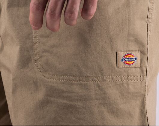 Shorts Dickies PELICAN RAPIDS DK0A4XB2DS01