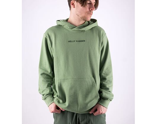 Hoodie Helly Hansen Core Graphic Sweat Hoodie Jade 2.0