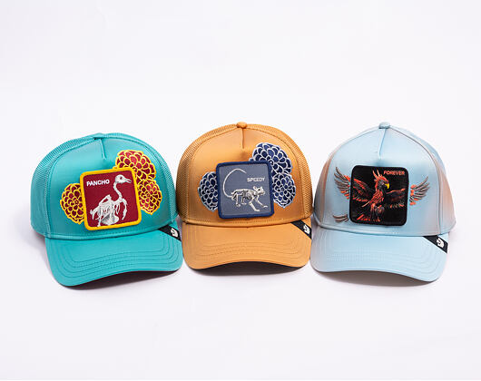 Kappe Goorin - Dia De Pancho