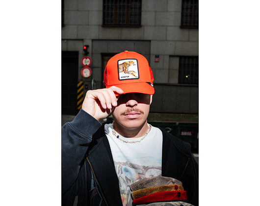 Kappe Goorin - The Nonstop Cheetah