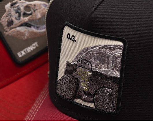 Kappe Goorin - Tricolor Tortiouse - Multi Color