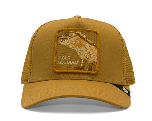 Kappe Goorin - Circle Of Life - Cold Blooded - Lizard - Amber