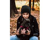 Mütze Statewear - Clint Beanie Army