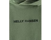 Hoodie Helly Hansen Core Graphic Sweat Hoodie Jade 2.0