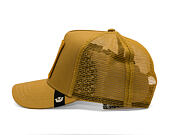 Kappe Goorin - Circle Of Life - Cold Blooded - Lizard - Amber