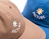 Kappe Picture - Atzan Bb - Shitake