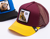 Kappe Goorin - The Real Talk Owl