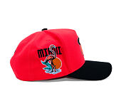 Kappe Mitchell & Ness - In The City - NBA - Miami Heat - Pink