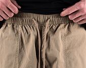 Shorts Dickies PELICAN RAPIDS DK0A4XB2DS01