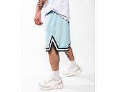 Shorts Karl Kani - Small Signature Essential Mesh Shorts