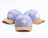 Kappe Mitchell & Ness  - NHL Frosted Peak - Pro Pinch Snapback - Florida Panthers - Blue/Green