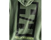 Hoodie Helly Hansen Core Graphic Sweat Hoodie Jade 2.0