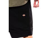 Shorts Dickies Fincastle Short DK0A4YSLBLK1