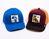 Kappe Goorin - Tricolor Owl