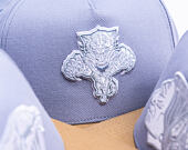 Kappe Mitchell & Ness  - NHL Frosted Peak - Pro Pinch Snapback - Florida Panthers - Blue/Green