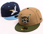 Kappe New Era - MiLB Theme Nights 59FIFTY - Hudson Valley Renegades - Team Color