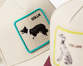Kappe Goorin - Shadow Border Collie - Scout
