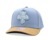Kappe Mitchell & Ness  - NHL Frosted Peak - Pro Pinch Snapback - Florida Panthers - Blue/Green