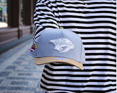Kappe Mitchell & Ness  - NHL Frosted Peak - Pro Pinch Snapback - Nashville Predators - Blue/Green