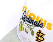Kappe New Era - MLB Fruit Graphic 9FORTY Trucker - St. Louis Cardinals - Mint Green