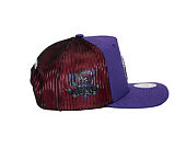 Kappe Mitchell & Ness - NBA Tremor Trucker HWC - Toronto Raptors - Purple