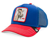 Kappe Goorin - The Historic Bear - Blue