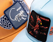 Kappe Goorin - Never Stop Never Stopping