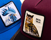 Kappe Goorin - Tricolor Owl