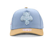 Kappe Mitchell & Ness  - NHL Frosted Peak - Pro Pinch Snapback - Florida Panthers - Blue/Green