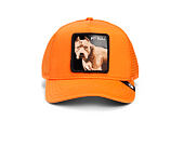 Kappe Goorin - The Dog Pitbull - Orange