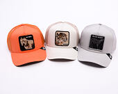 Kappe Goorin - The Dog Pitbull - Orange