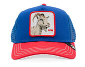 Kappe Goorin - The Historic Bear - Blue