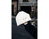 Oakley Haube - Ellipse Ribbed Beanie - Mist/Cement