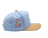 Kappe Mitchell & Ness  - NHL Frosted Peak - Pro Pinch Snapback - Florida Panthers - Blue/Green