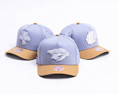 Kappe Mitchell & Ness  - NHL Frosted Peak - Pro Pinch Snapback - Nashville Predators - Blue/Green