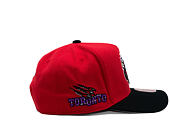 Kappe Mitchell & Ness - In The City Hwc - NBA - Toronto Raptors - Red
