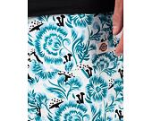 Shorts Dickies Roseburg DK0A4YBPF351 Blau