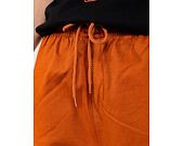 Hose New Era - Cargo Pant - Brown / Black