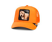 Kappe Goorin - The Dog Pitbull - Orange