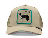 Kappe Goorin - Shadow Border Collie - Scout