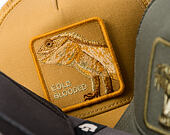 Kappe Goorin - Circle Of Life - Cold Blooded - Lizard - Amber